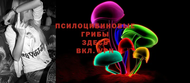 MEGA вход  Канск  Псилоцибиновые грибы Psilocybine cubensis 